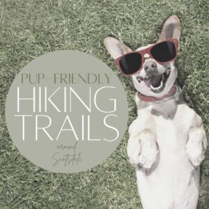 pup friendly hiking trails around Scottsdale