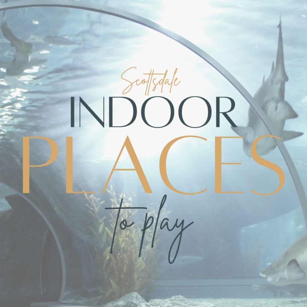 Fun Things To Do Indoors In Scottsdale From The Scottsdale Living
