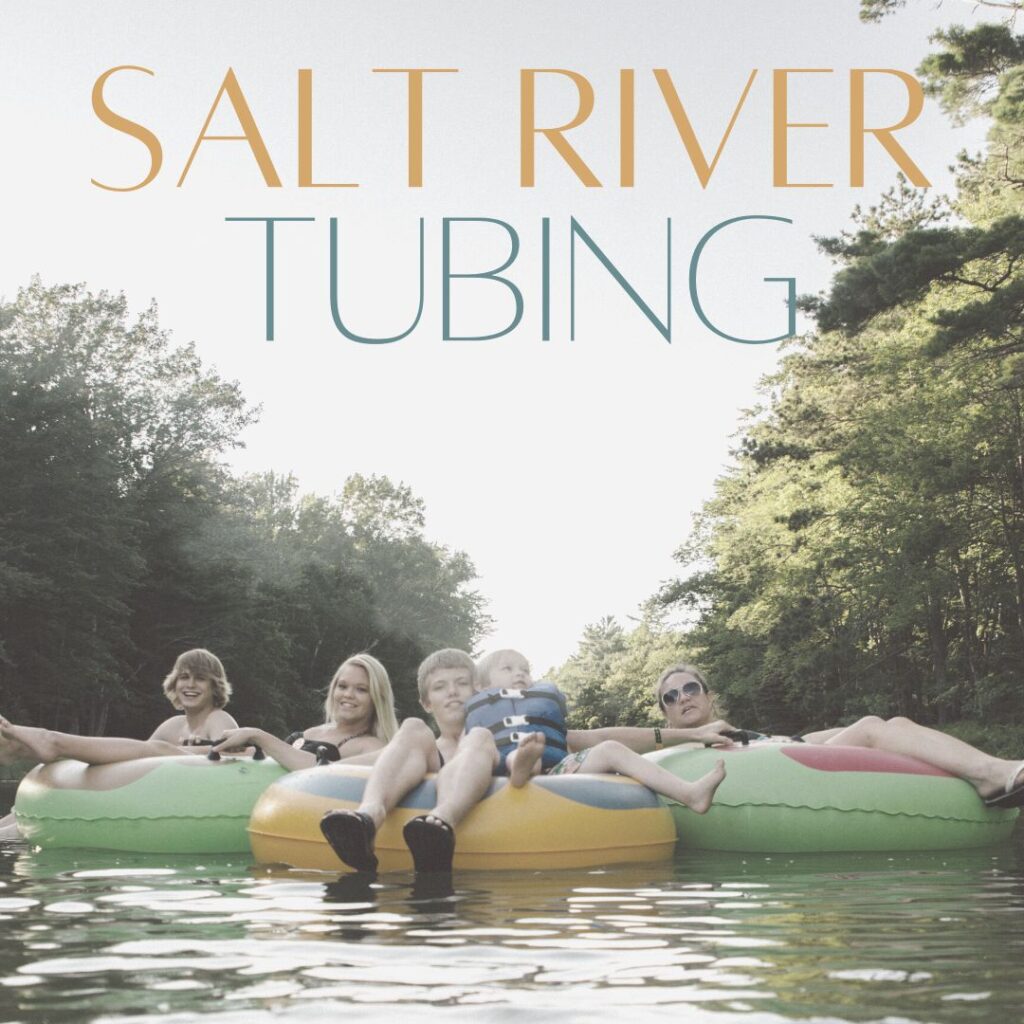 Salt River Tubing - The Scottsdale Living