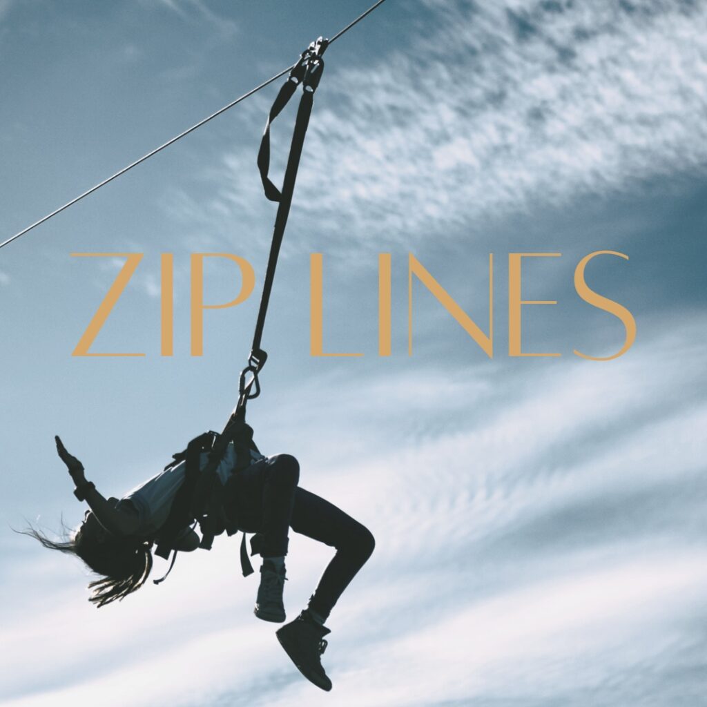 zip lines scottsdale from the scottsdale living