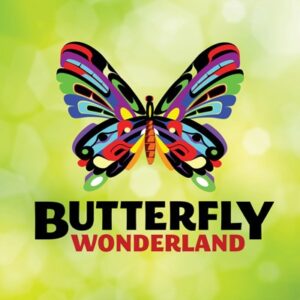 butterfly wonderland 300x300
