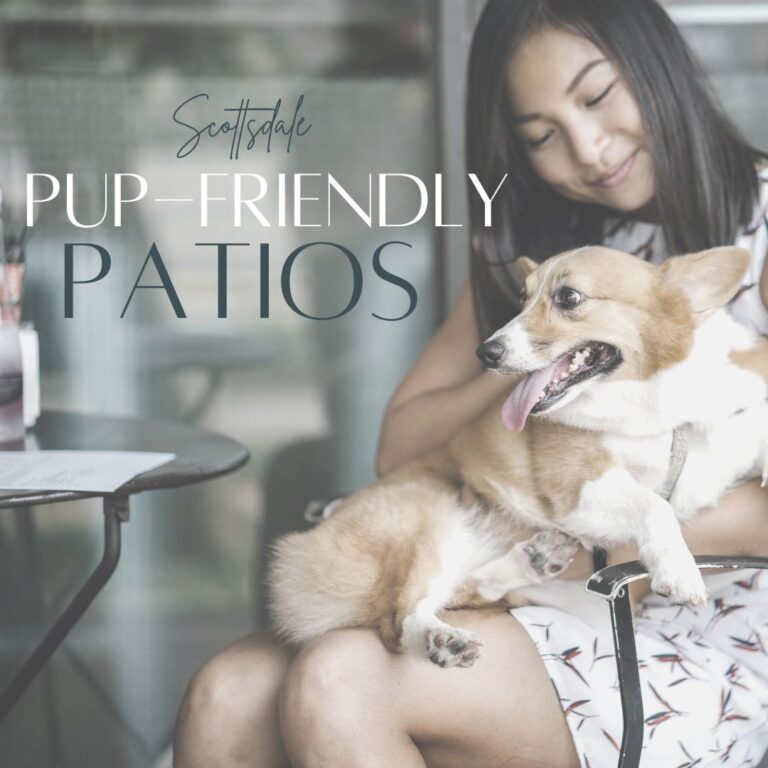 Dog-friendly restaurant patios around Scottsdale
