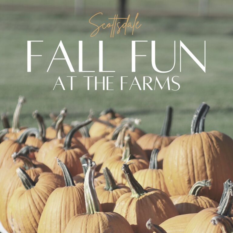 Fall Fun At The Farms Around Scottsdale