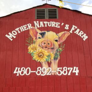 mother natures farm 300x300