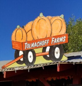 tolmachoff farms pumpkin days 285x300
