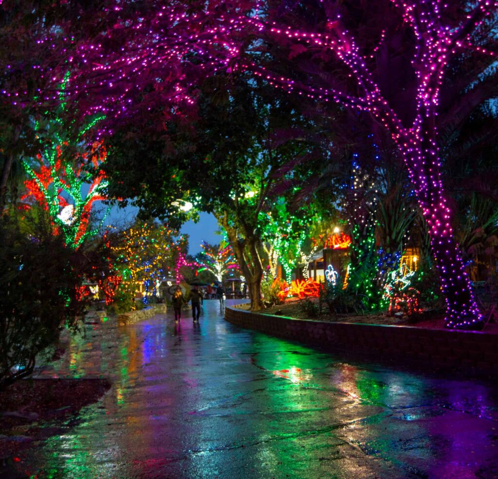 zoolights at Phoenix Zoo from Scottsdale Living