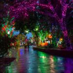 zoolights at Phoenix Zoo from Scottsdale Living