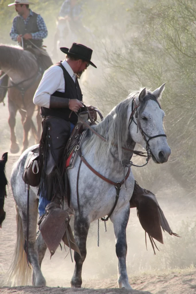 MacDonald's Ranch Horseback Riding Scottsdale From The Scottsdale Living