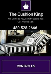 the cusion king3 208x300