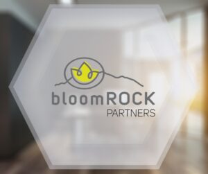 bloomrock partners 300x251