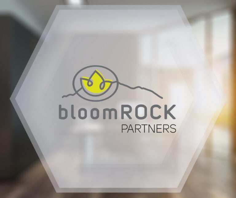 bloomrock partners 768x644