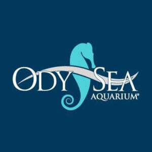 OdySea Aquarium 300x300