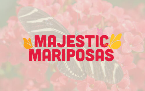 majestic mariposas at desert botanical garden