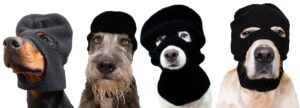 ski mask dogs 300x108