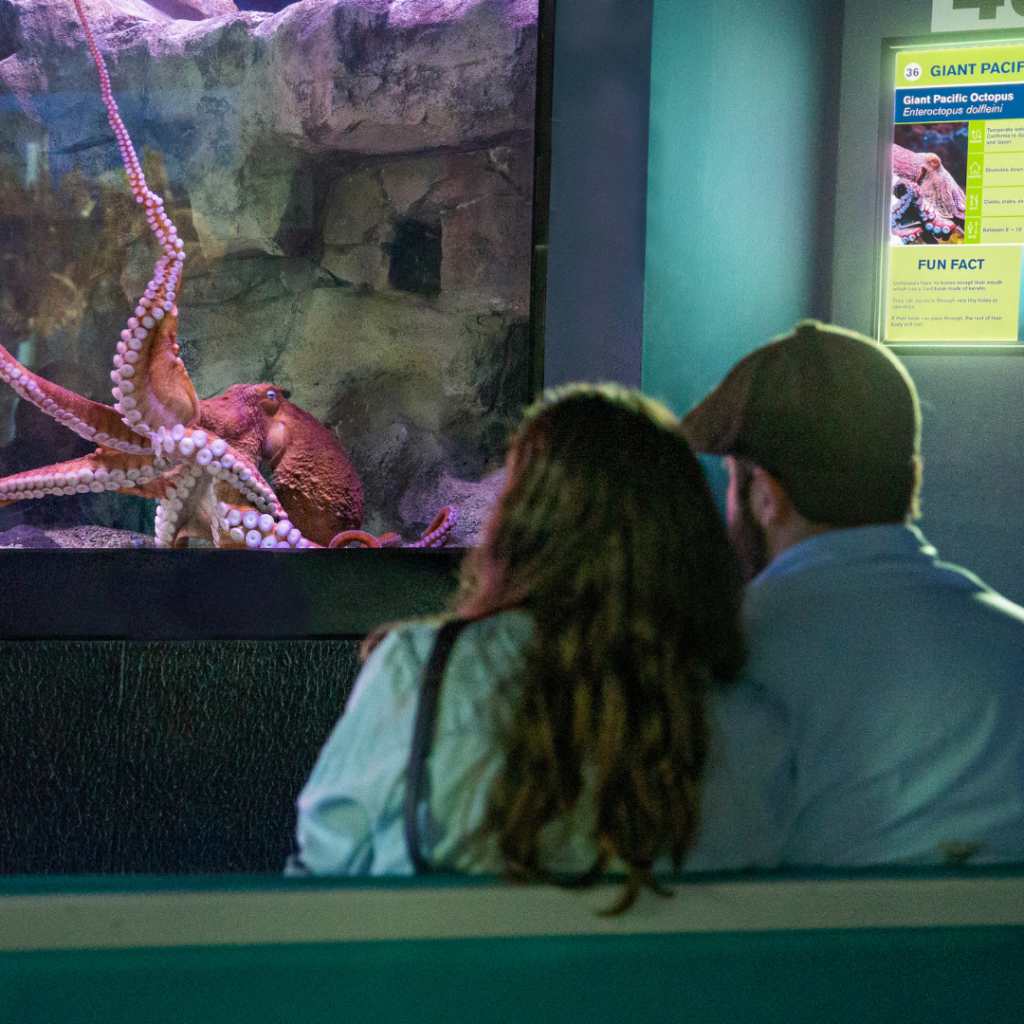 fish & sips odysea aquarium on the scottsdale living