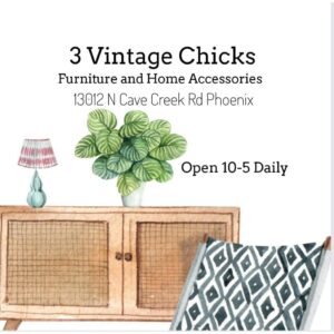 3 vintage chicks 300x300