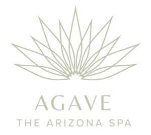 Agave Spa Stacked Logo RGB 300x269