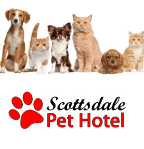 scottsdale pet hotel 289x300