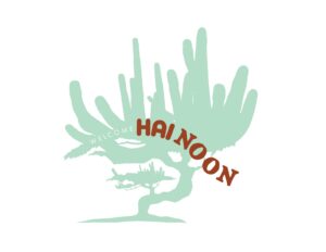 hainoon 300x232