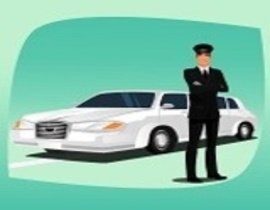 saferdriver 1 1