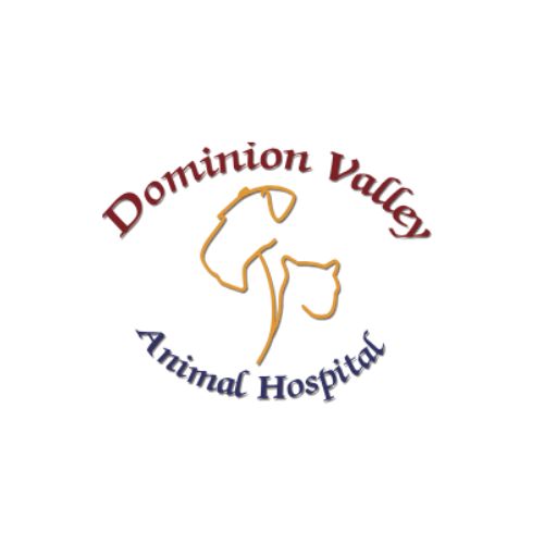 dominionvalleyvets.com LOGO