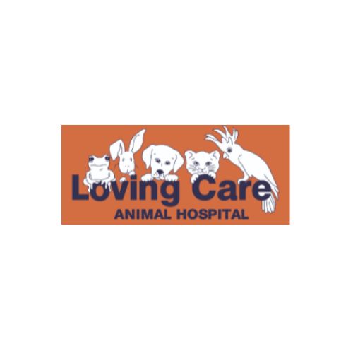 lovingcareanimalhospital.net
