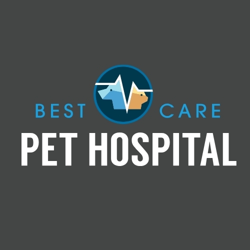 Best Care Pet Hospital logo 1