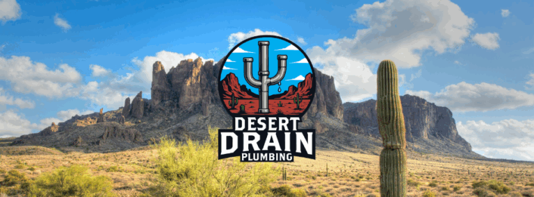 desert drain logo 2 1 768x284