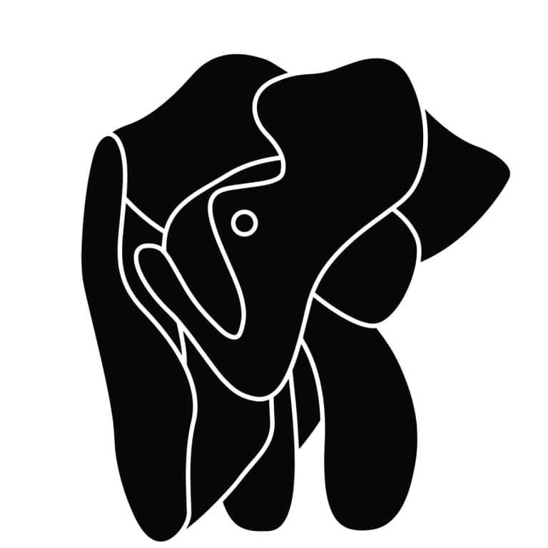 Elephante 768x768